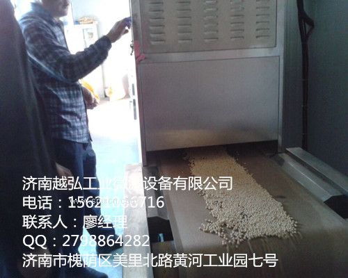 豆制品微波干燥**設備技術(shù)參數