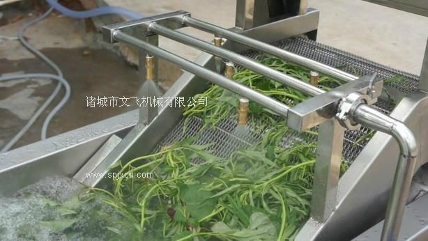 蔬菜清洗機，洗水果蔬菜的機器