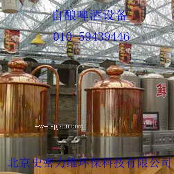上海自釀啤酒設備多少錢(qián)
