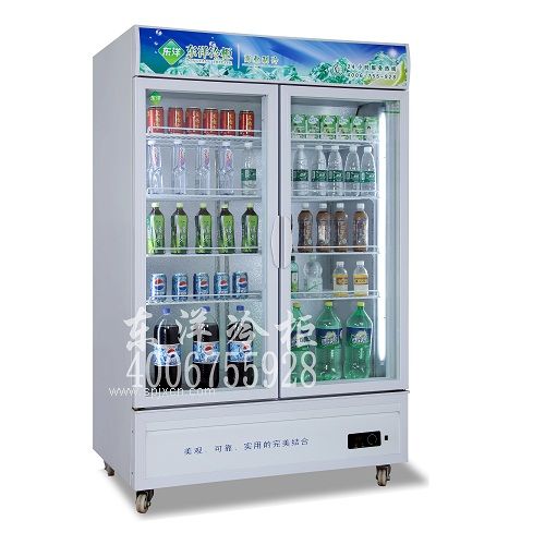 白色雙門(mén)冷柜，大排檔啤酒柜