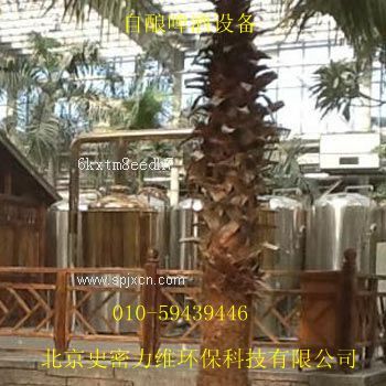 自釀啤酒設備，品質(zhì)保證，好啤酒