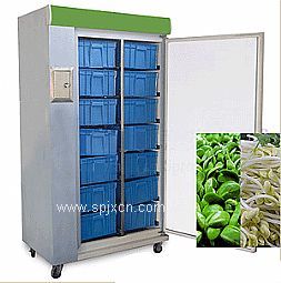 科創(chuàng  )新型自動(dòng)豆芽機
