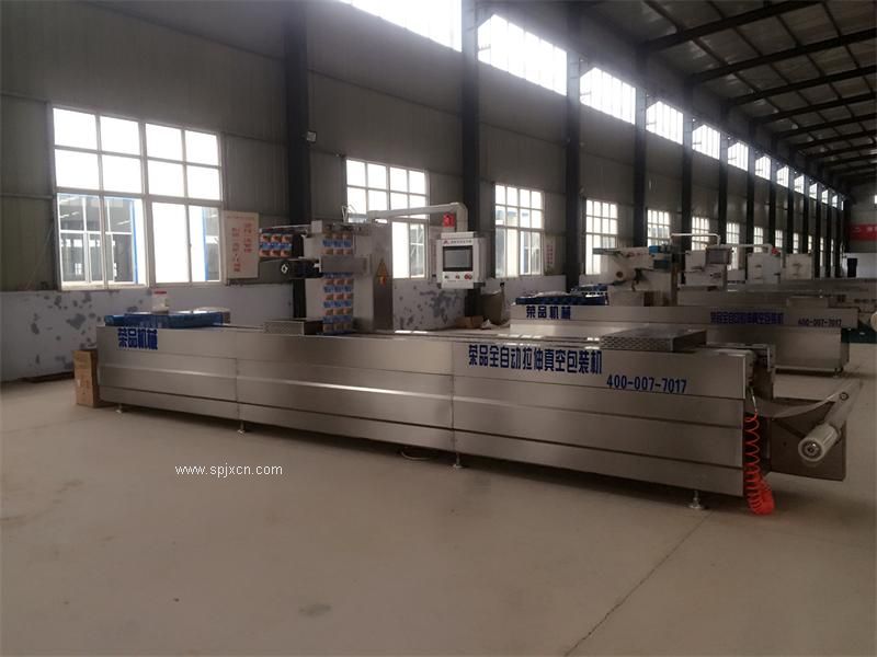 休閑食品全自動(dòng)拉伸膜真空包裝機