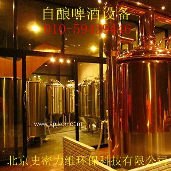 自釀啤酒設備多少錢(qián) 廠(chǎng)家直銷(xiāo)