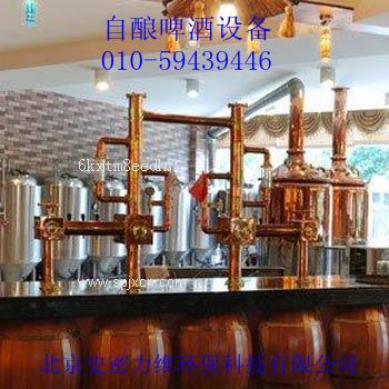 北京自釀啤酒設備多少錢(qián)？