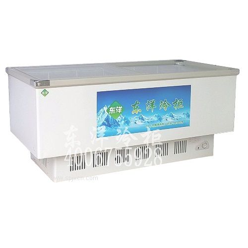 二門(mén)冰柜批發(fā)價(jià)，臥式雪糕柜售價(jià)