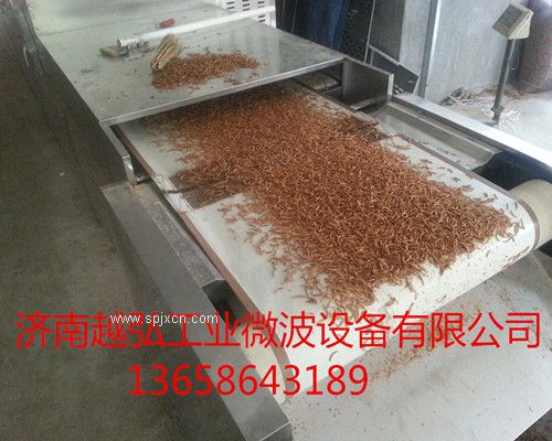 黃粉蟲(chóng)干燥烘干機