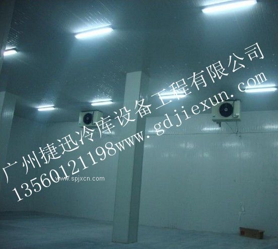 番禺節能肉類(lèi)冷庫,廣州捷迅冷庫
