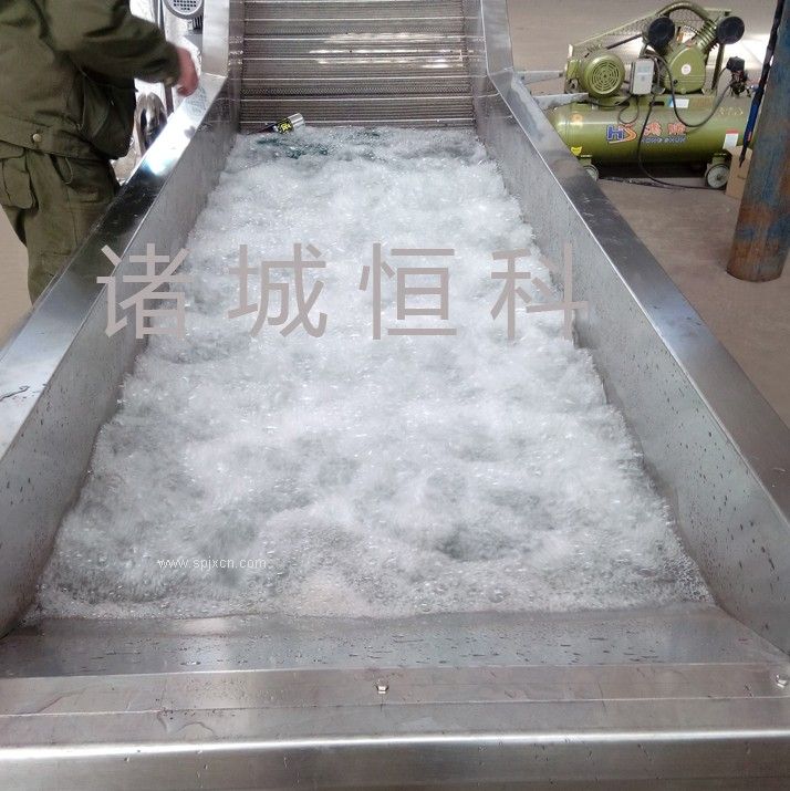 直銷(xiāo)多功能果蔬清洗機/臭氧**