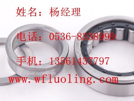 濰坊實(shí)惠的直線(xiàn)軸承哪里有賣(mài)推薦
