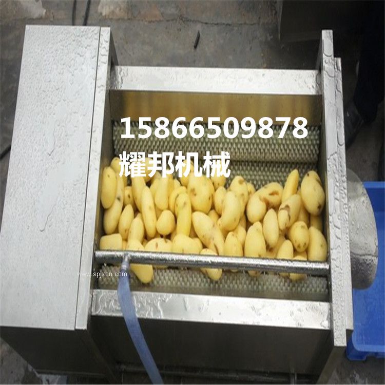 供應 根莖類(lèi)植物毛刷清洗機