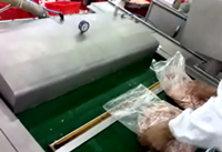 肉類(lèi)真空包裝機 全自動(dòng)肉制品真