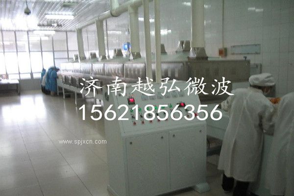 阜康麥胚微波烘干設備廠(chǎng)家