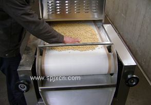 大豆微波脫腥熟化干燥設備