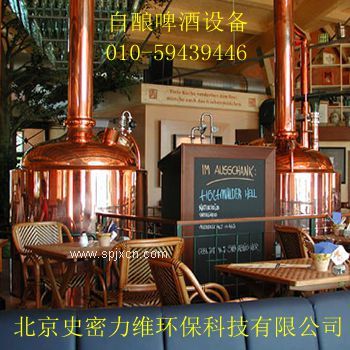 【原裝進(jìn)口】微型啤酒設備，小型