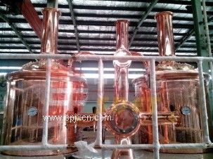 300L小型酒店自釀啤酒設備分