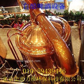 供應自釀啤酒技術(shù)-**性技術(shù)產(chǎn)