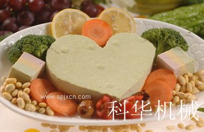 沈陽(yáng)豆腐機廠(chǎng)家