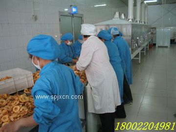 微波蘋(píng)果片烘干膨化設備