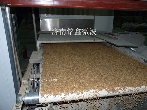 黃豆微波熟化烘烤設備