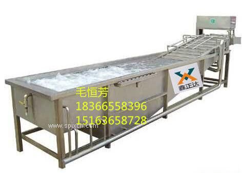 供應鑫正達蔬菜、水果清洗機，廠(chǎng)