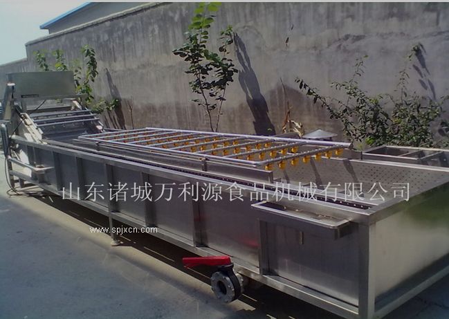 蔬菜氣泡清洗機_凈菜加工設備_