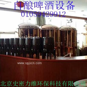 北京自釀啤酒設備廠(chǎng)家