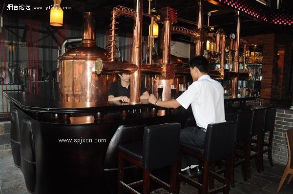 300L德標酒店自釀啤酒設備